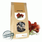 Auricularia_jidasovo_ucho