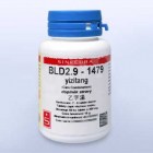 BLD2.9 yizitang