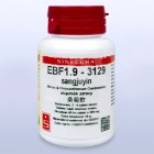 EBF1_9_sangjuyin