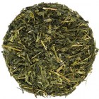 Sencha_China_salvie