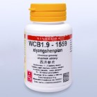 WCB1_9_xiyangshenpian