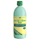 aloe_vera_stava