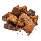 caga-chaga-rezavec-sikmy-ho8