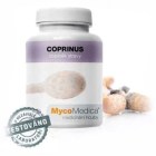 coprinus_hnojnik