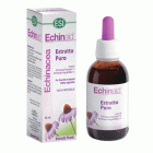 echinacea-kapky-alkohol-esi