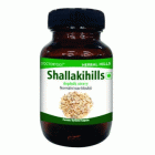 shallakihills